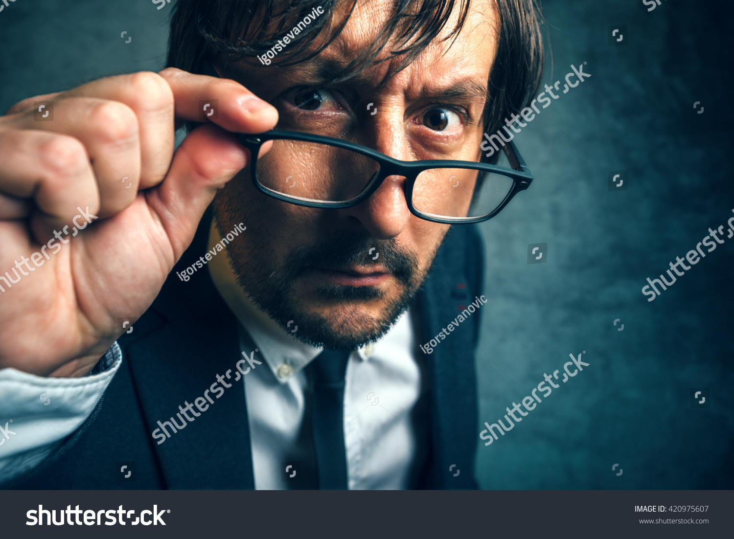 Angry Auditor
